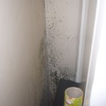 Condensation on a bedroom wall